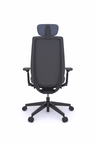 accispro-151sfl-black-p63pu-lumbar-support-5
