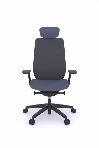 accispro-151sfl-black-p63pu-lumbar-support-1