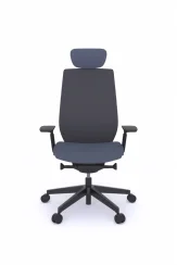 accispro-151sfl-black-p63pu-lumbar-support-1 accispro-151sfl-black-p63pu-lumbar-support-1