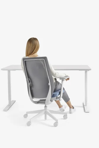 AccisPro 150SFL lightgrey