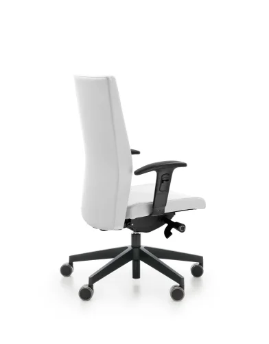 Ergonomická kancelárska stolička Playa